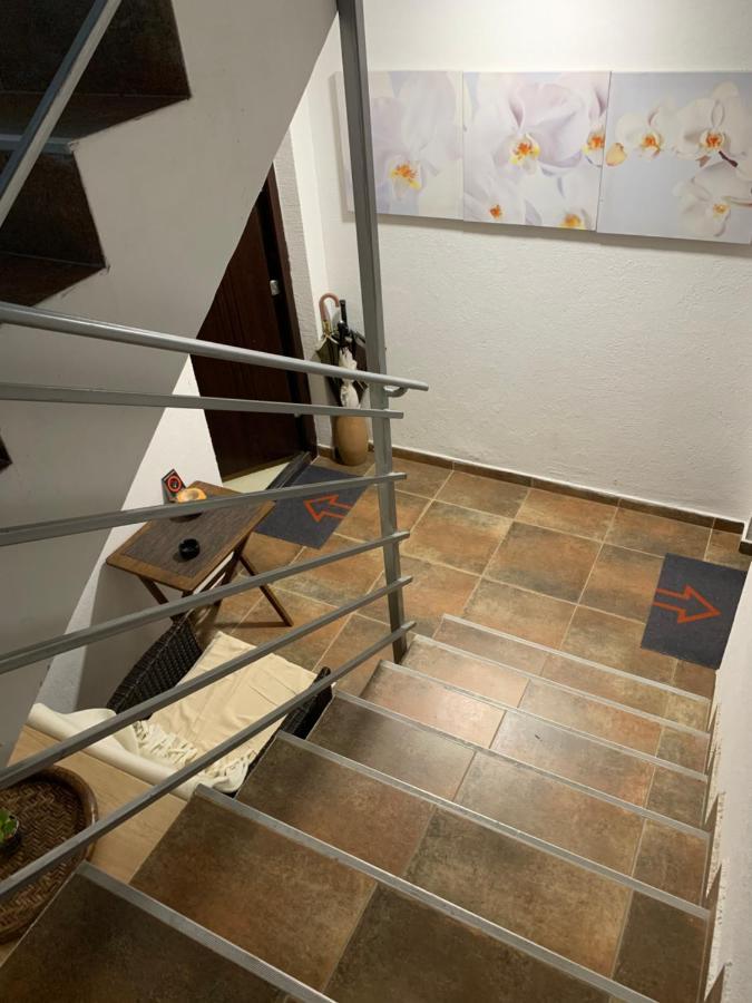 N6 Apartment Novi Sad Buitenkant foto